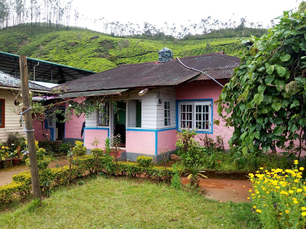 Zina Cottage Munnar Exterior foto